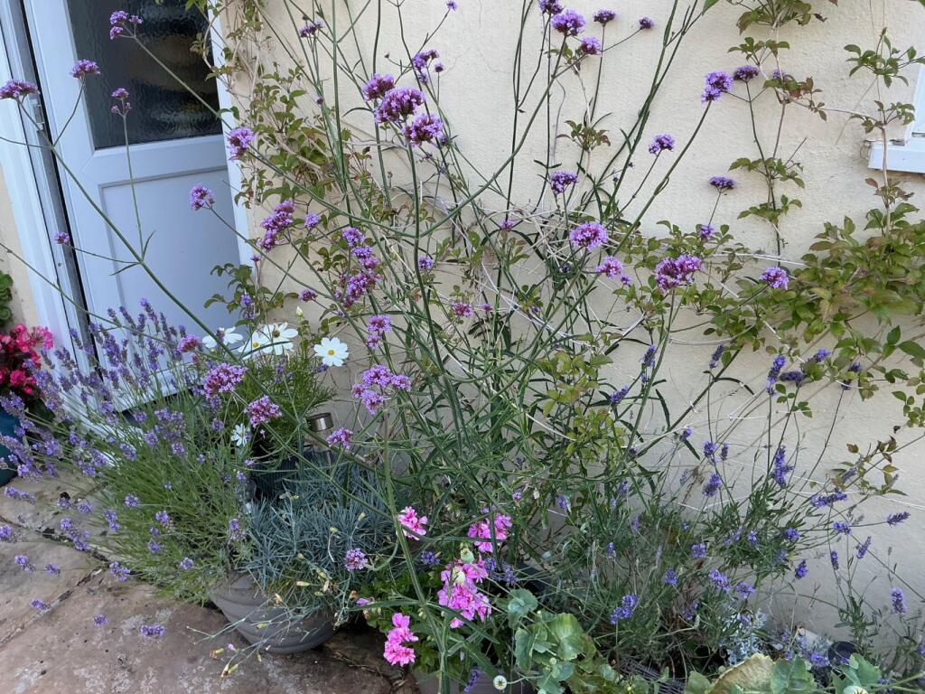 Additional image 16 of Station Road, Castle Cary, Somerset, BA7