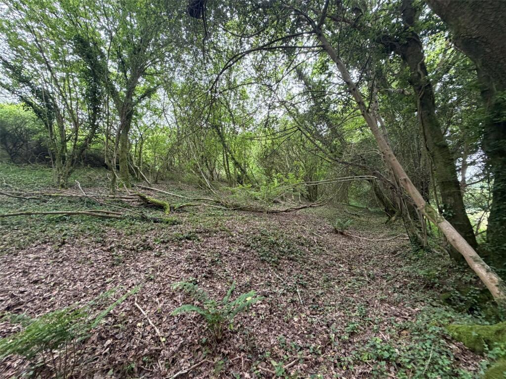 Main image of property: Clapper Bridge, Quethiock, Saltash, Cornwall, PL12