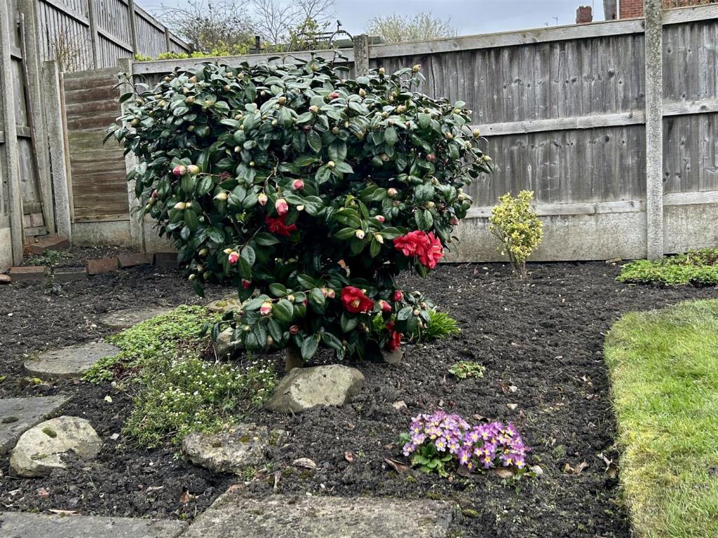 Additional image 17 of Waterfall Lane, Cradley Heath