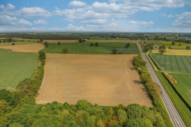 Lot 5