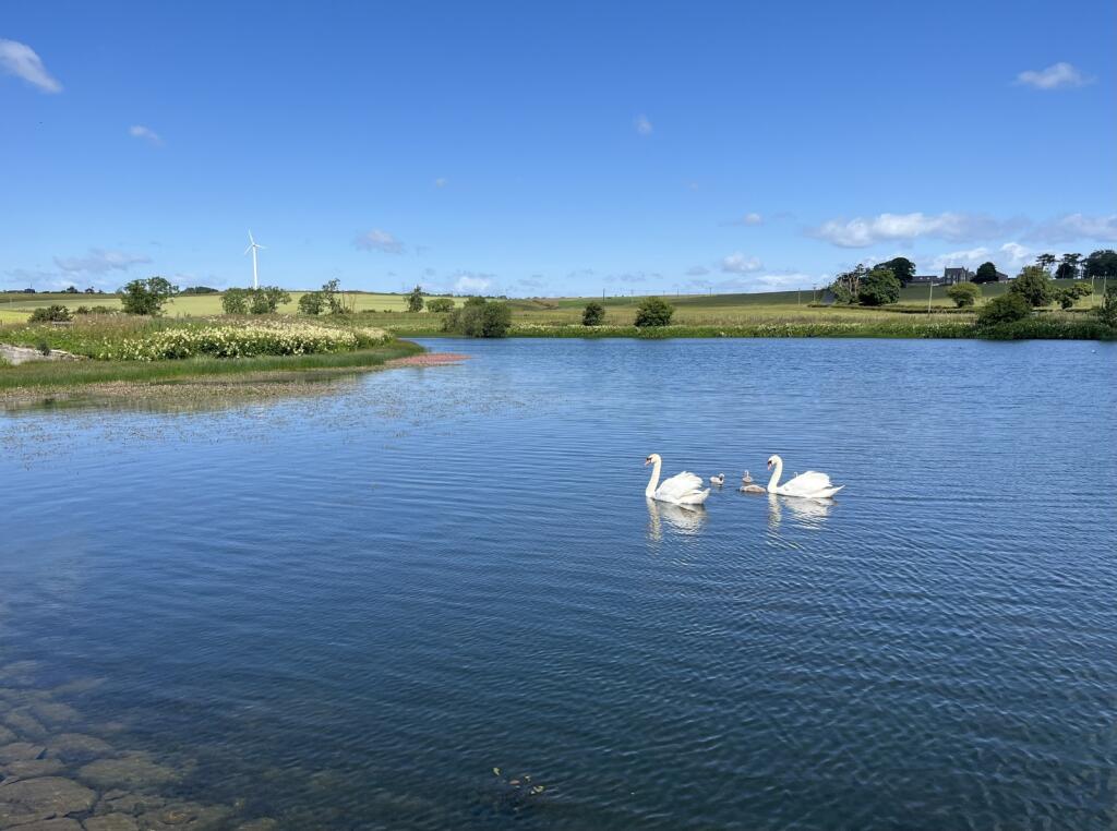 Main image of property: Gillingshill Reservoir & Nature Reserve, Arncroach, Anstruther, Fife, KY10