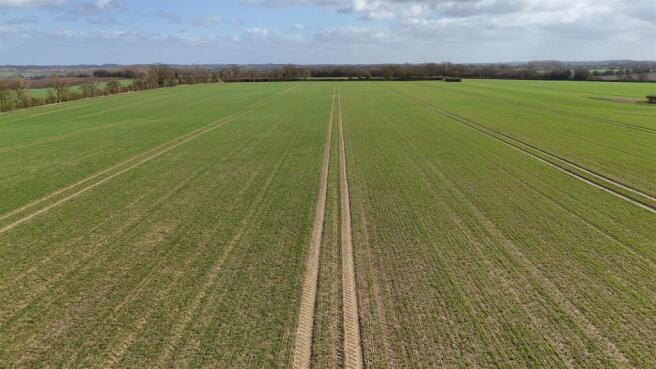 DJI_20260311105136_0091_D.JPG