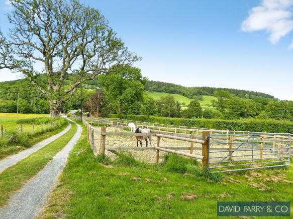 Delightful Detached Bungalow