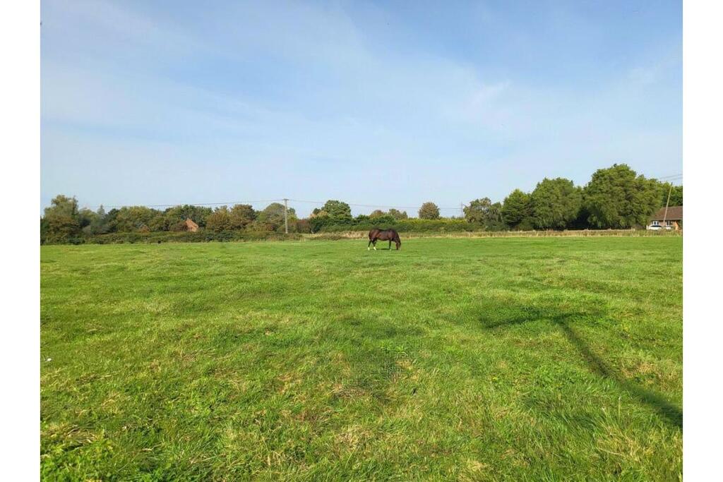 House in King's Lynn and West Norfolk, West Walton - View 2