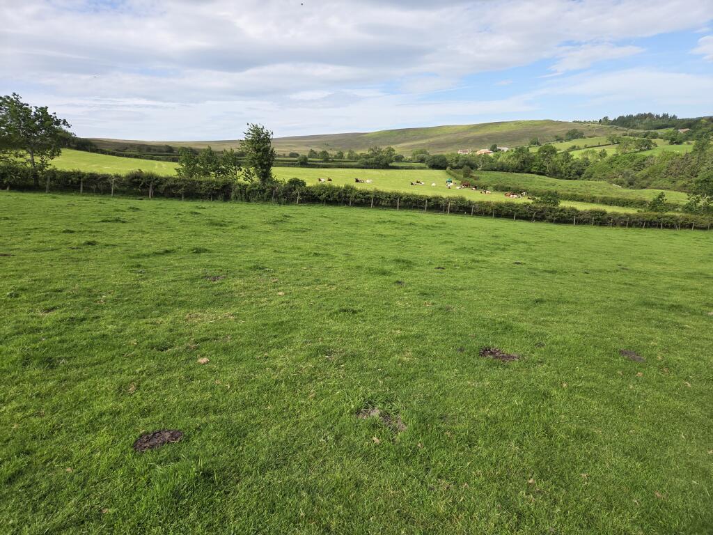 Main image of property: Busco Beck, Shaw End, Lealholm, Whitby, North Yorkshire