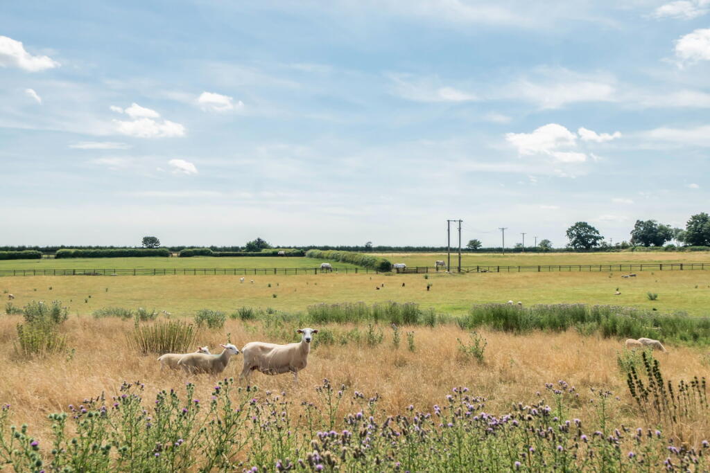St. Peters Rise, Wymondham photo 2