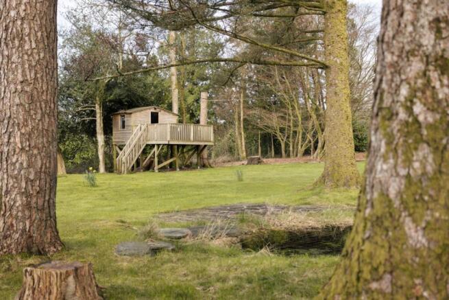 Storrs Hill Tree House