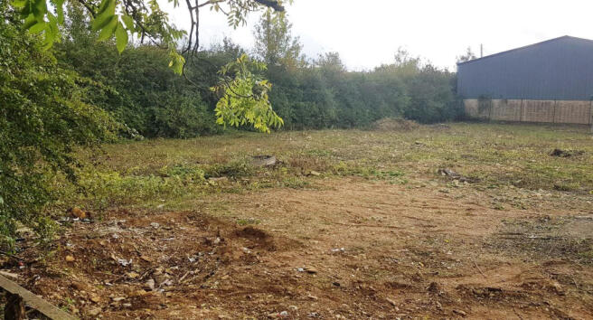 Site photo 2