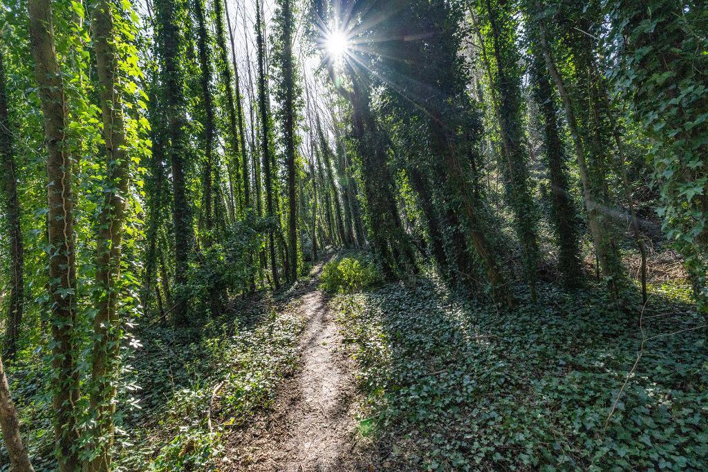 Additional image 12 of Sparrey Drive, Stirchley, Birmingham, B30 2LX