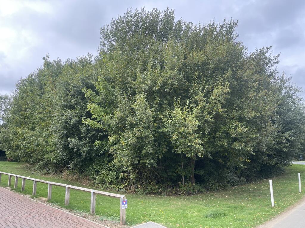 Main image of property: Stallingborough Road, Healing, North East Lincolnshire