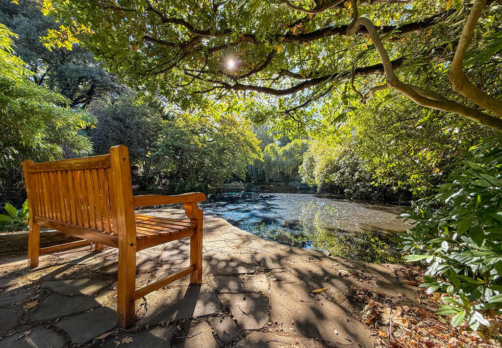 Property photo 11