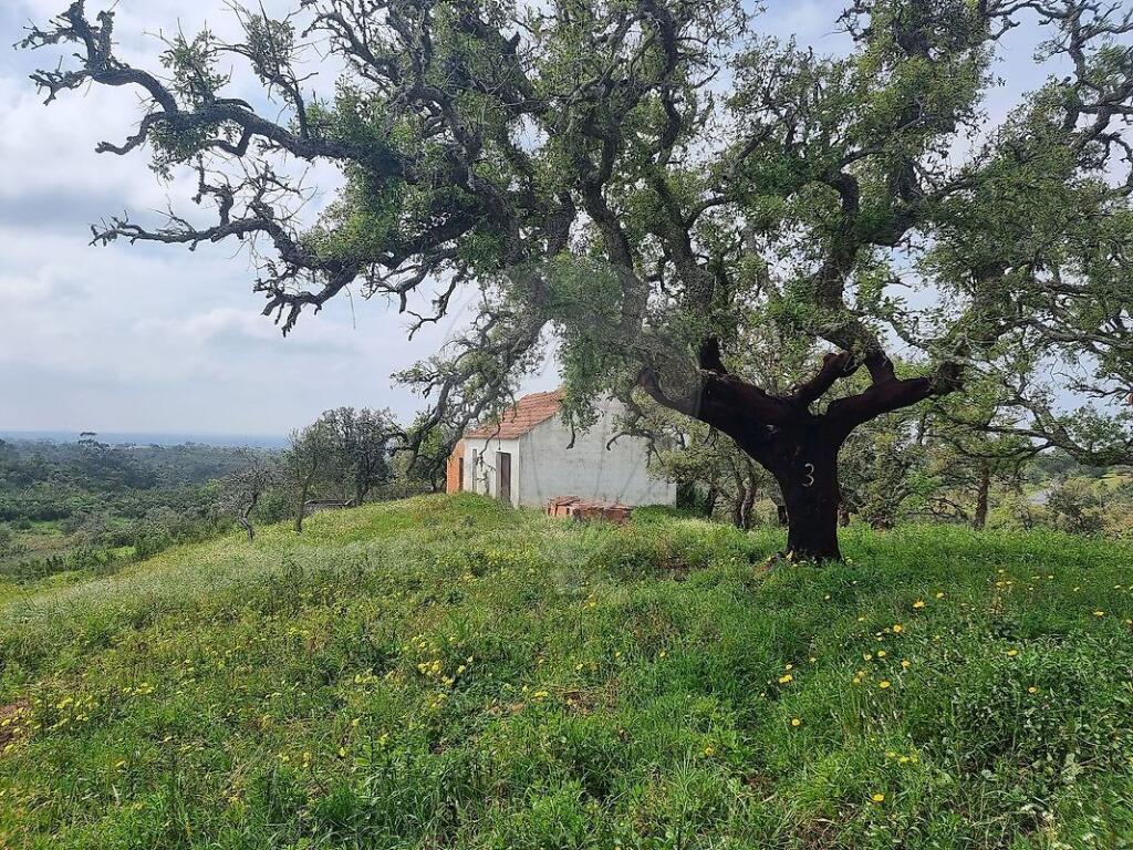 Main image of property: Setúbal, Santiago do Cacém