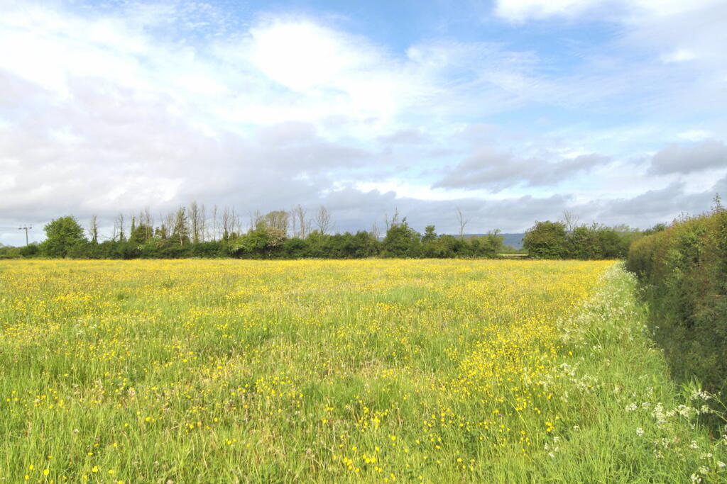 Nupdown Lane, Nupdown, BS35 - View 2