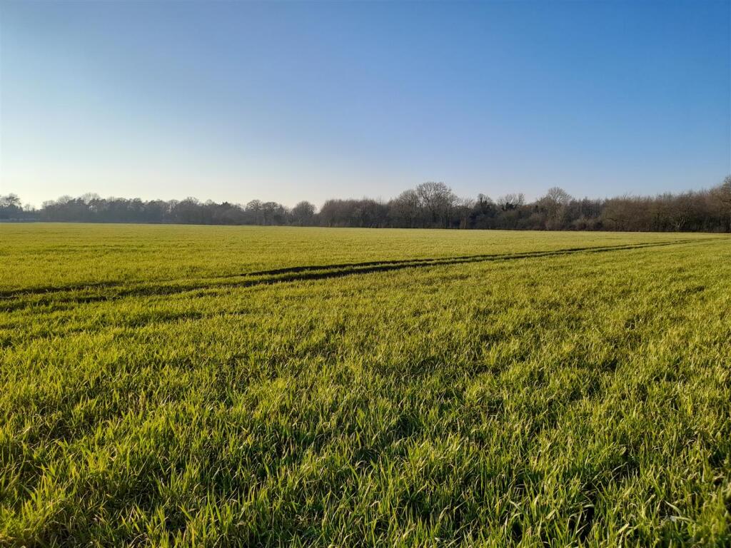 Main image of property: North Green, Pulham