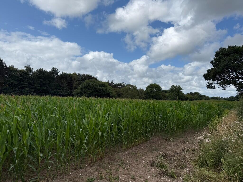 Main image of property: 5 ACRES OFF MAGAZINE LANE, EWLOE, FLINTSHIRE, CH7