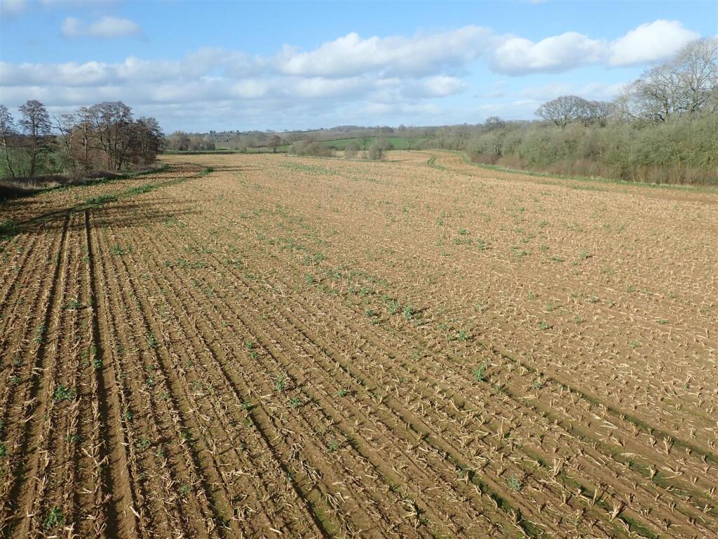 Main image of property: Arable Land near Much Cowarne, Hereford