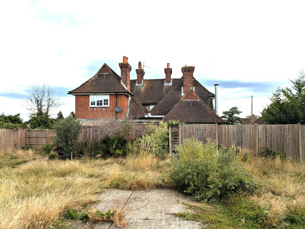 .jpg