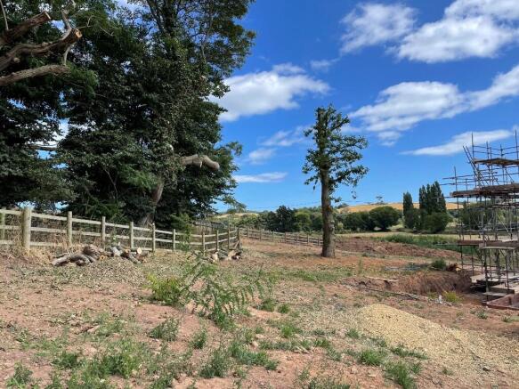 view across plot