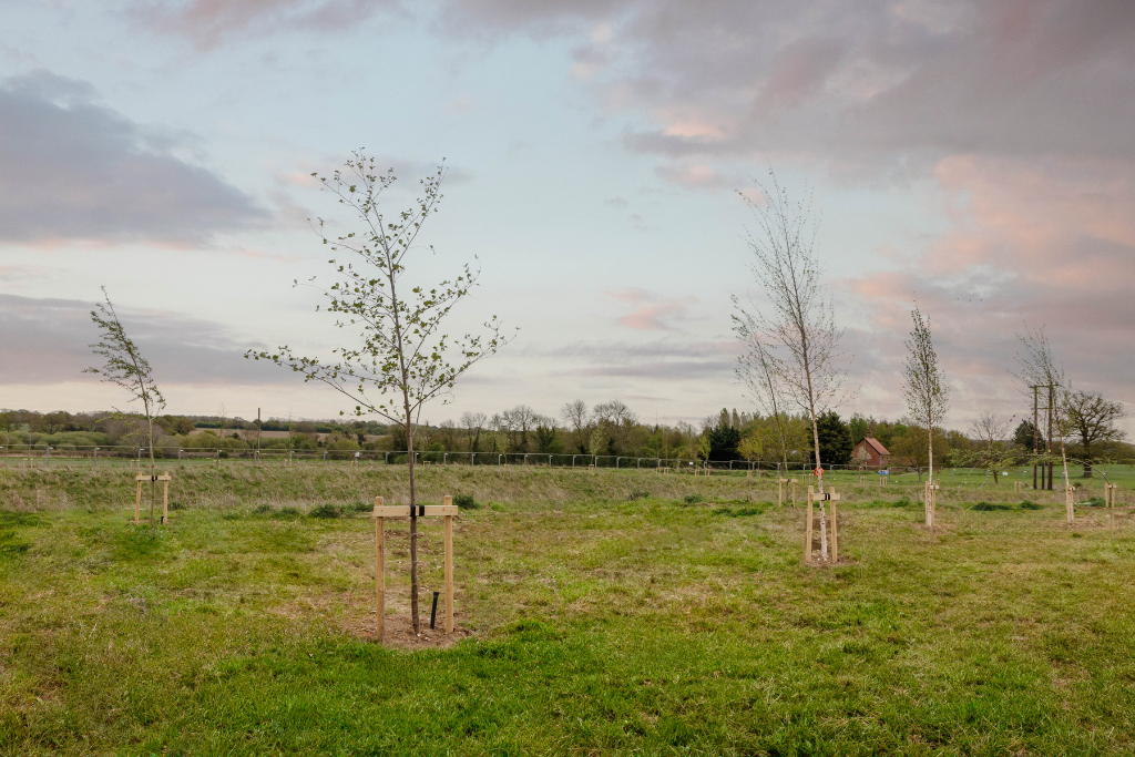 Main image of property: London Road,
Wymondham,
NR18 9BP