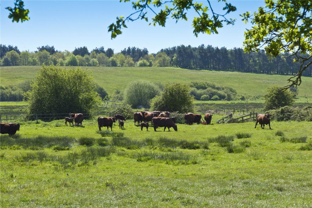 Main image of property: Lot 5 | Park Farm, Bylaugh, Norfolk, NR20