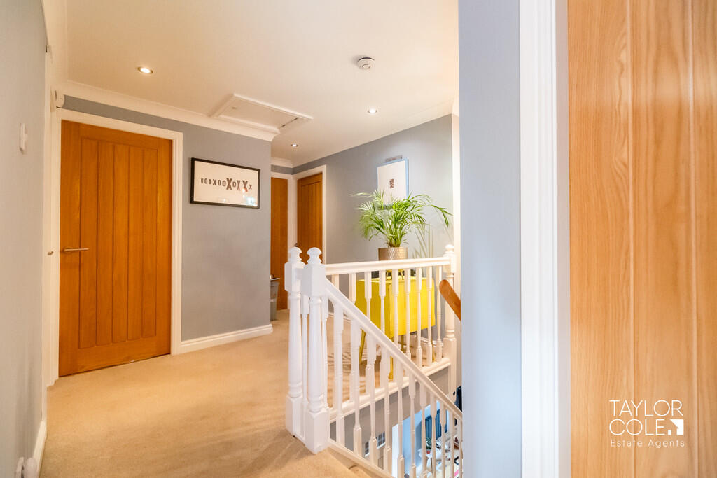 Additional image 22 of Shannon, Belgrave