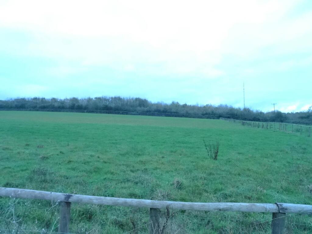 DSC02984.JPG