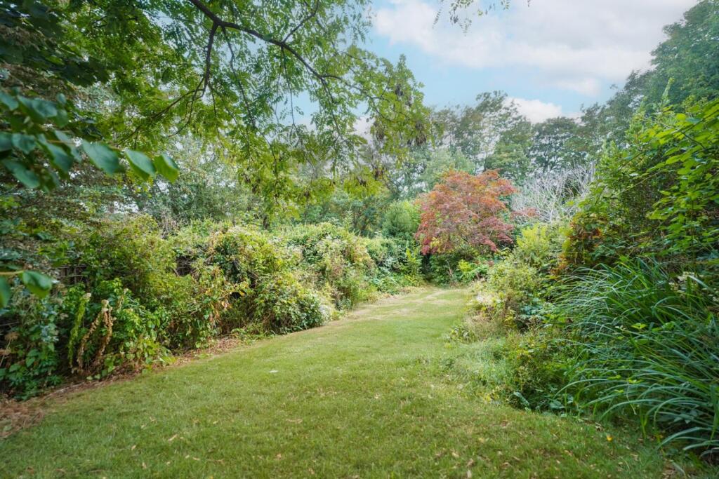 House in London, Crystal Palace - View 4