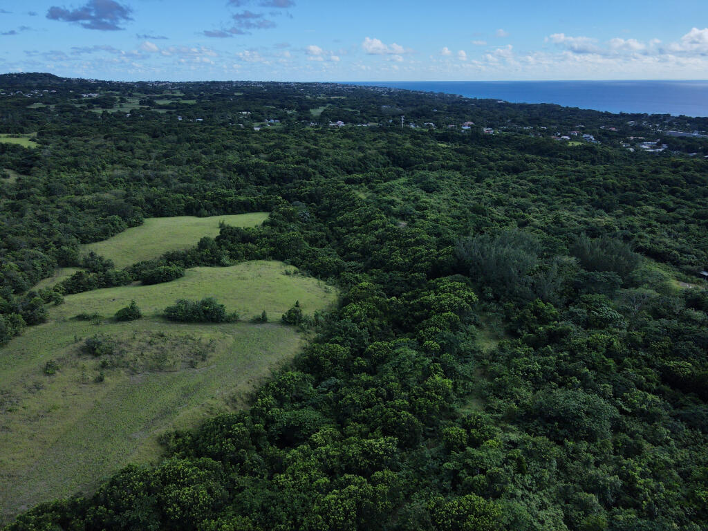 Main image of property: St James, Holetown