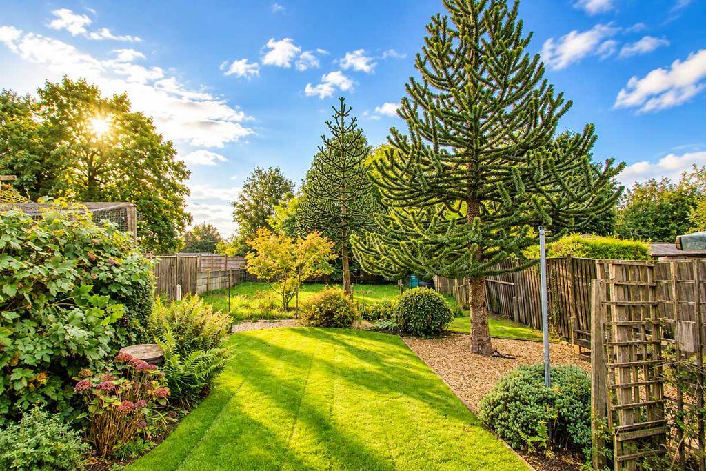 House in Cannock Chase, Common Side, Norton Canes - View 5