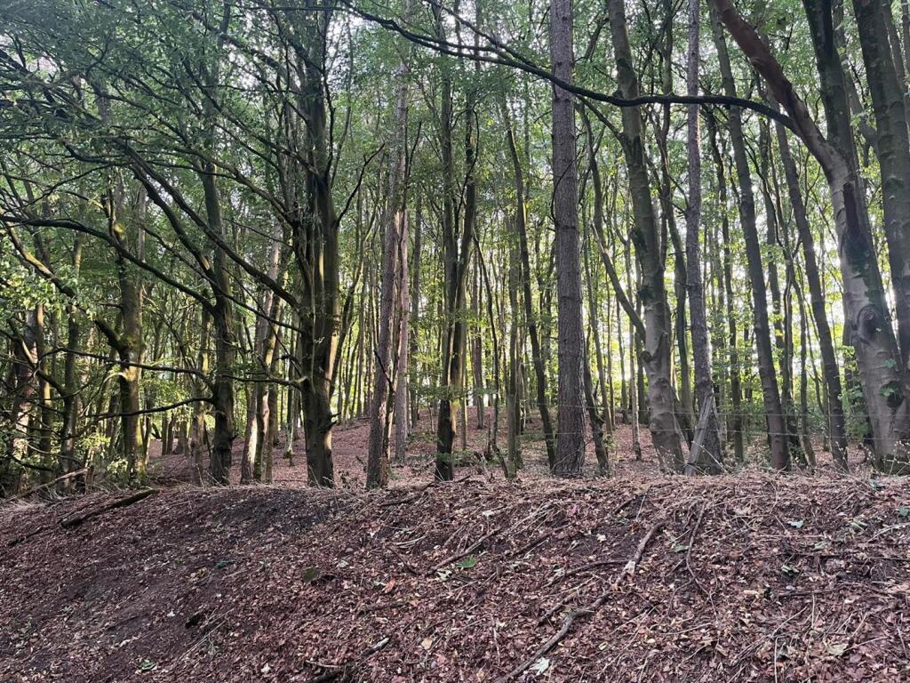 Tickhill Lane, Dilhorne, Stoke On Trent - View 4