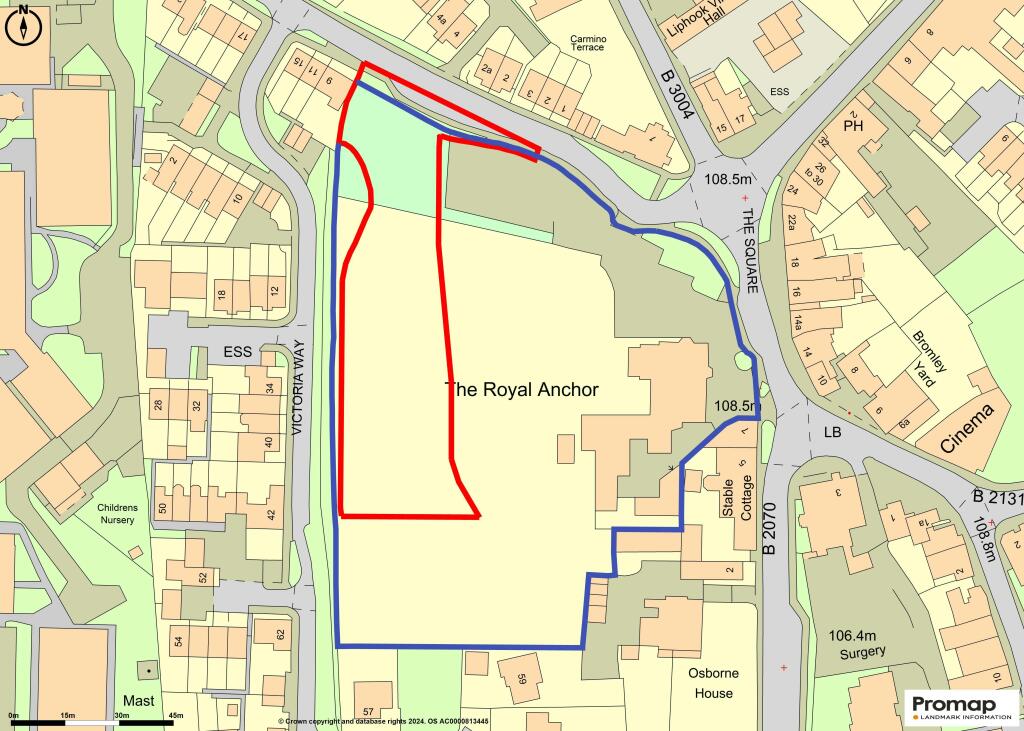 Royal Anchor Liphook Development Site Red Line Map.jpg