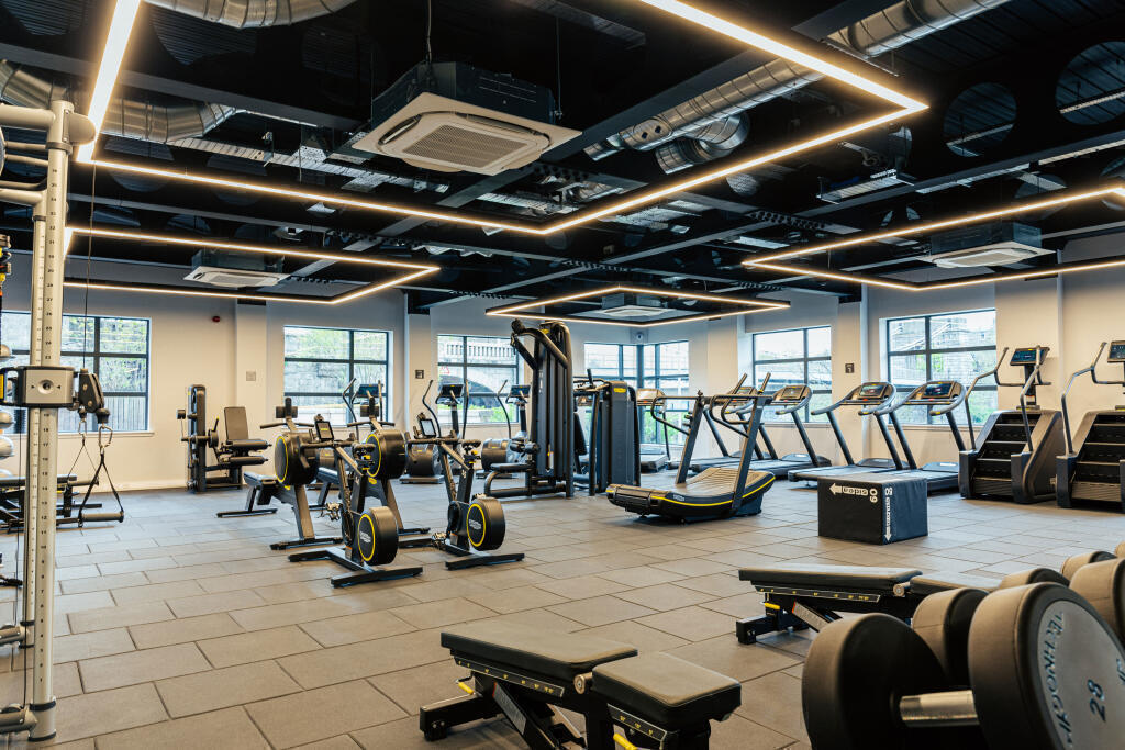 neogym