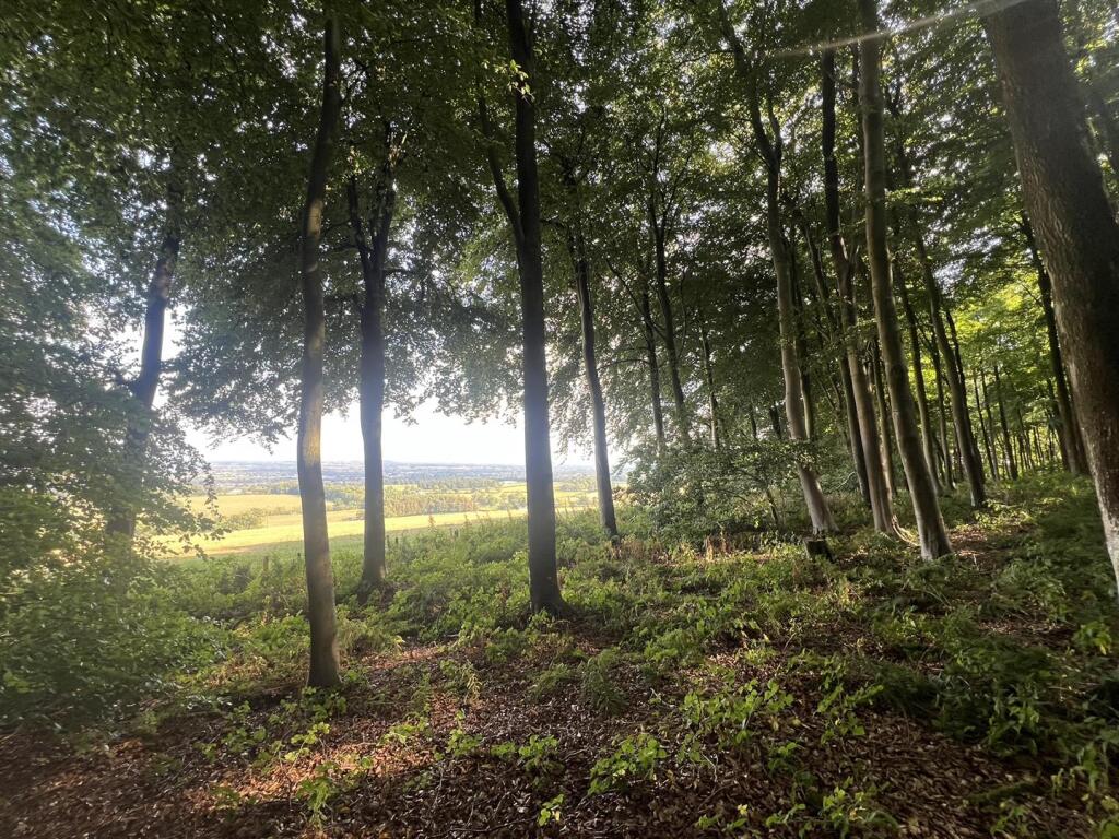 Main image of property: LOT 3 Glopa Wood, Old Racecourse, Oswestry, Shropshire. SY10 7HP