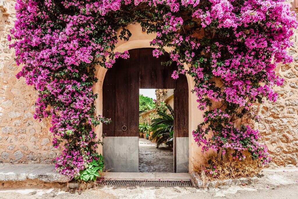 Main image of property: Deià , Mallorca, Balearic Islands