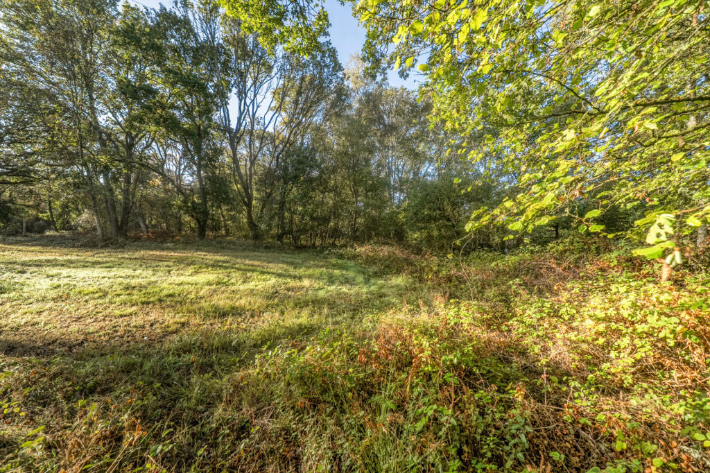 House in Basingstoke and Deane, Newtown - View 3
