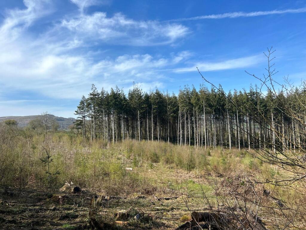 Main image of property: 6.00 Acres - Bagtor Wood, Bickington, Devon, TQ12