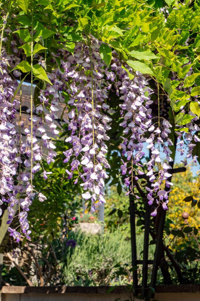 Additional image 32 of Mead Lane, Wanstrow, BA4 4TF