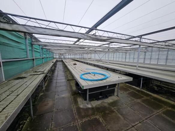 Marden Nurseries (2)