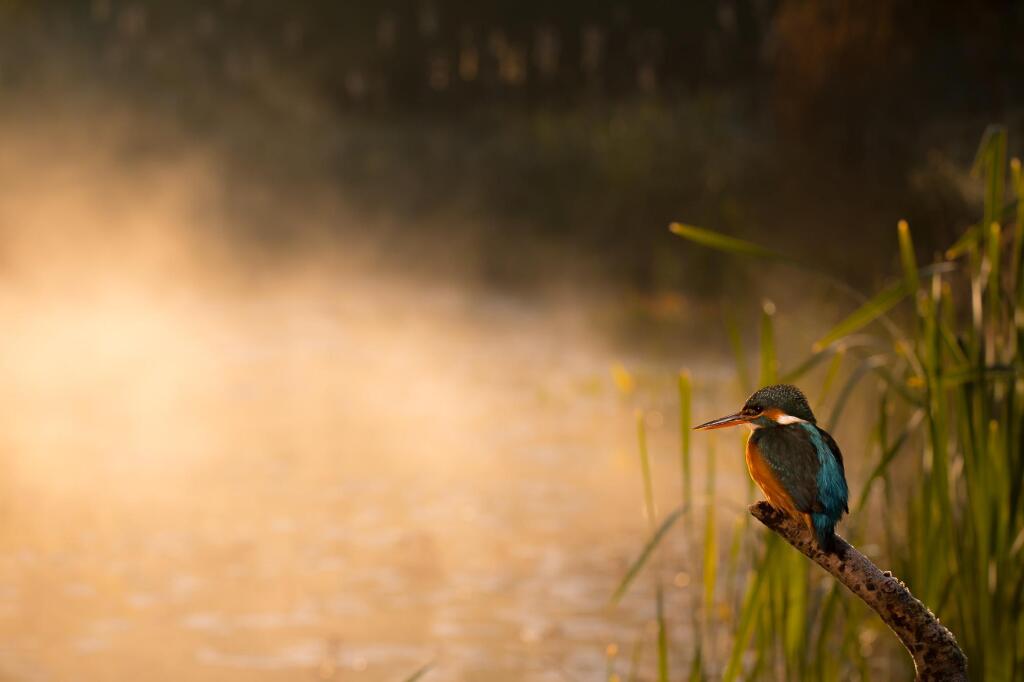 Additional image 17 of Near Wellow and Bath, Somerset, BA3
