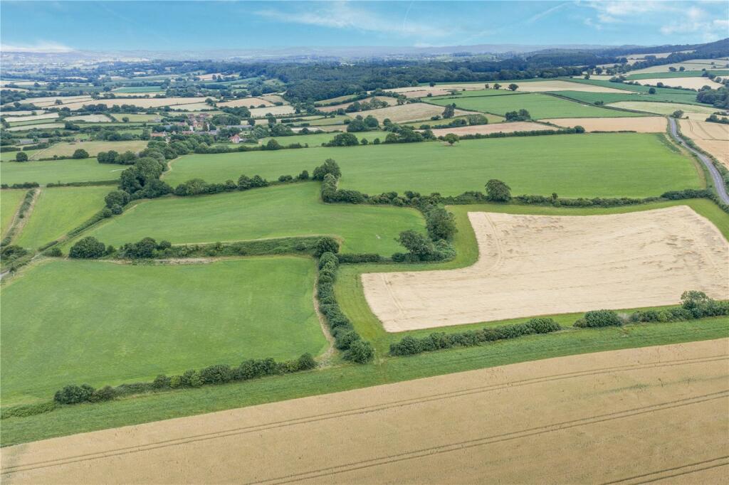 LOT 4 - 56.85 Acres At Allowenshay Farm, Allowenshay, Hinton St George, Somerset, TA17 - View 3
