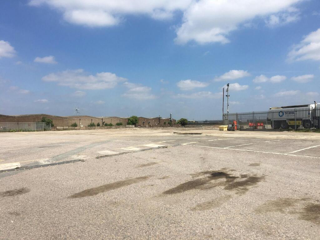 Area 10 looking NE from SW corner.jpg