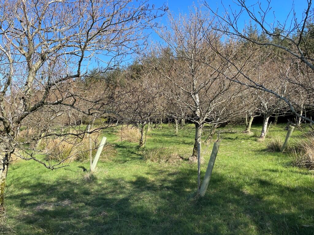 Additional image 16 of Woodland at Broadmuir, Hill of Fisherie, Turriff, AB53 5QL