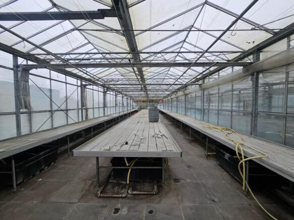 Marden Nurseries (7)