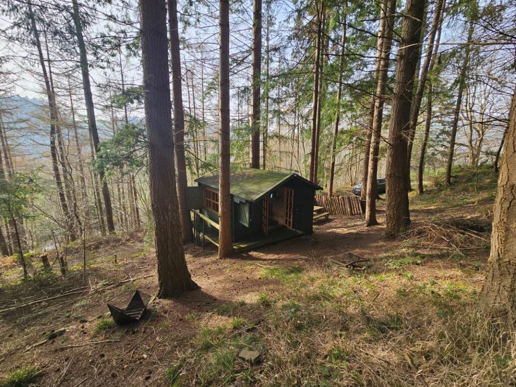 Main image of property: Middle Bank Wood, Coed Bwlch, Rhysgog, Llangollen, Denbighshire, LL20 8BW