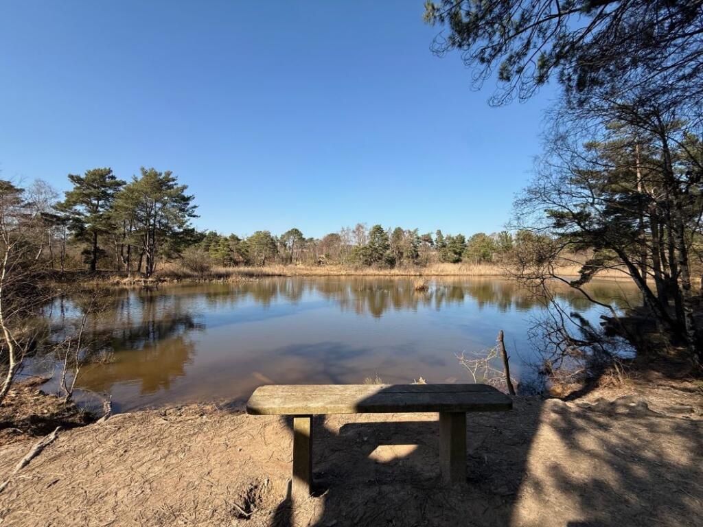 Main image of property: Land to the North of the A35, Land to the West of Roman Road, Upton Heath, Corfe Mullen, Dorset, BH16 5QW