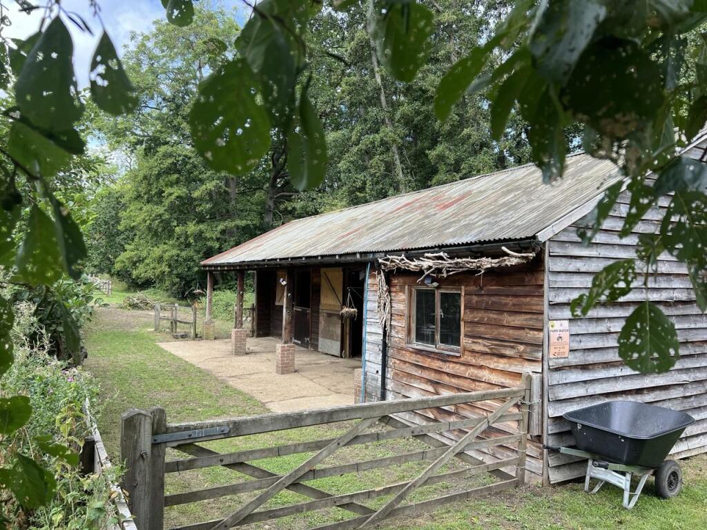 Hascombe, Surrey