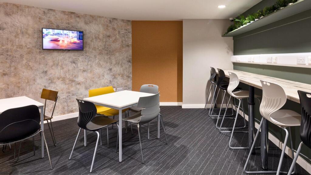 1 bedroom flat share for rent