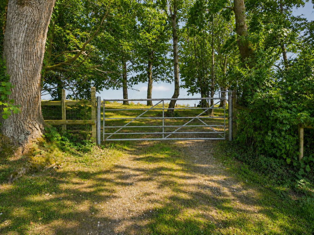 Godshill, Fordingbridge, SP6 photo 2