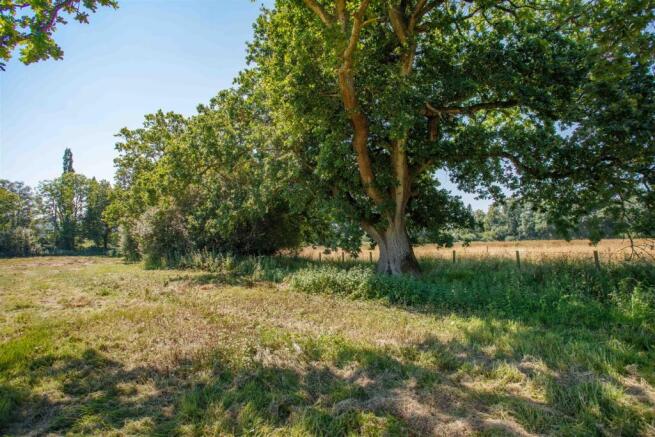 Westerly Boundary