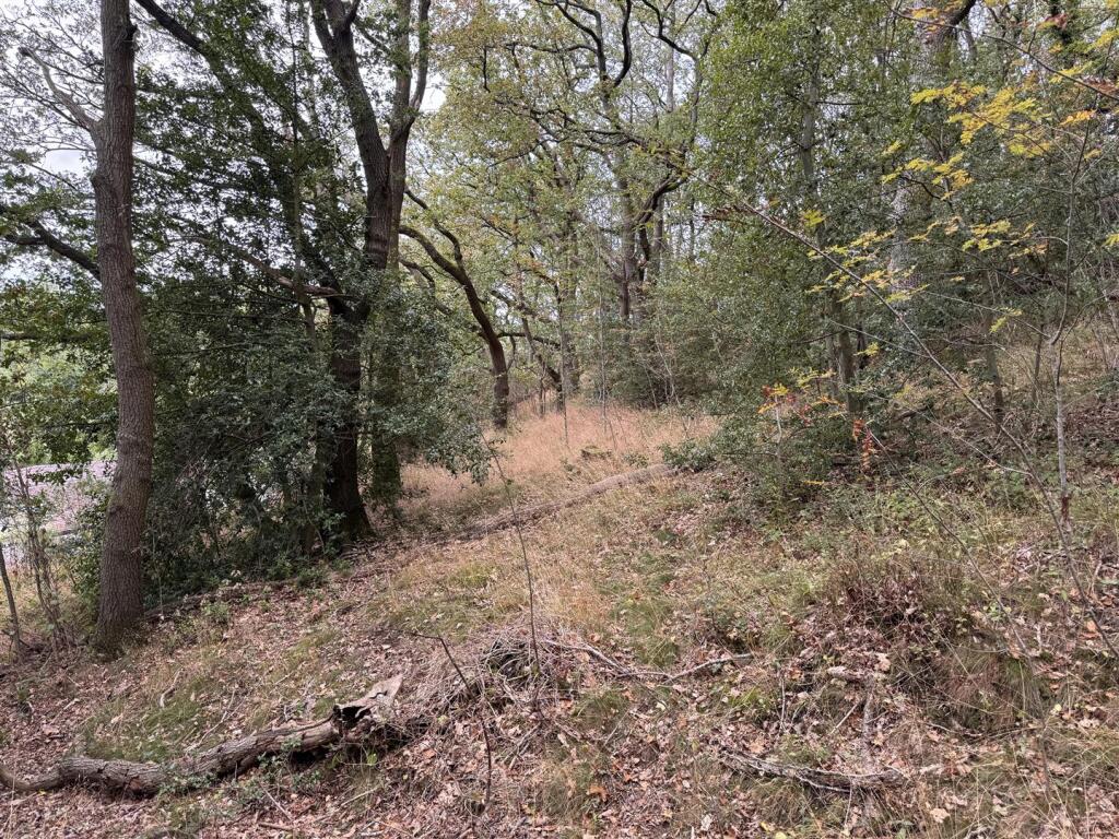 Land Adjoining Melody Hill, Crows Nest, Snailbeach, Shrewsbury - View 5